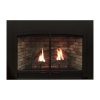 Empire  White Mountain Hearth  Fireplaces  Direct Vent