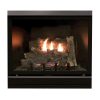Empire  White Mountain Hearth  Fireplaces  Direct Vent